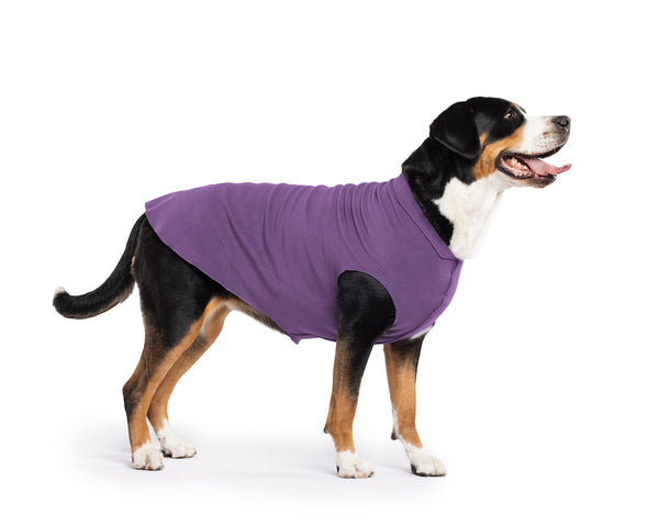 Gold Paw Stretch Fleece Dog Coat - Huckleberry