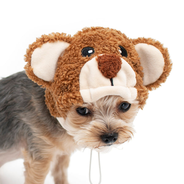 Teddy Bear Hat for Dogs