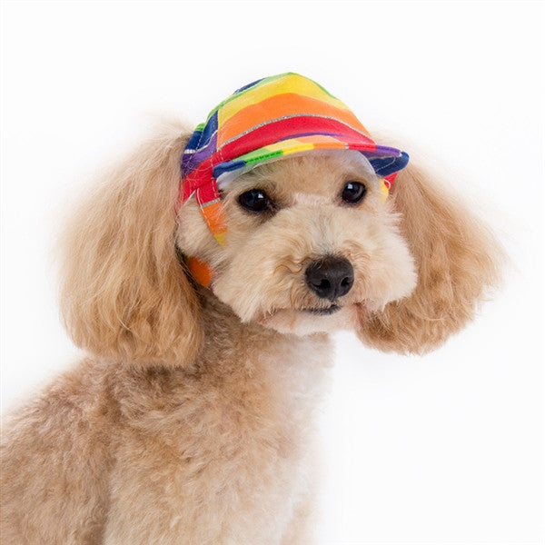 Rainbow Hat for Dogs