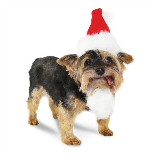 Santa Hat For Dogs