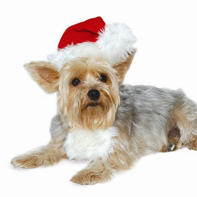 Santa Hat For Dogs