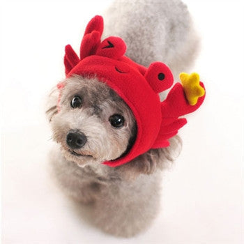 Crab Hat for Dogs
