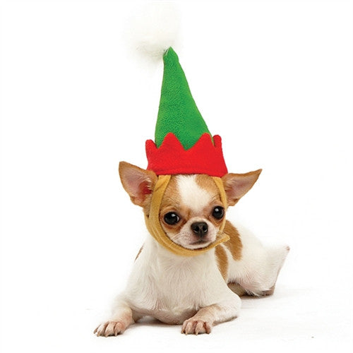 Elf Hat for Dogs