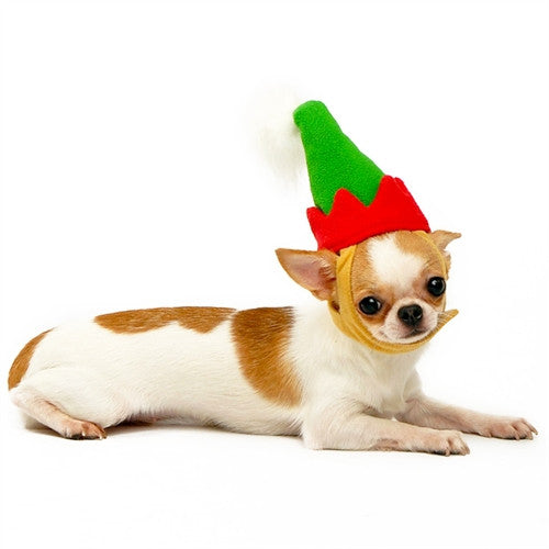 Elf Hat for Dogs