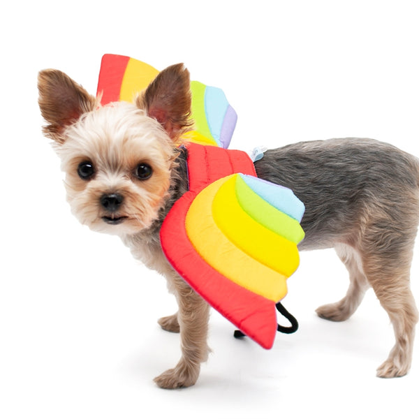 Dragon Wings Dog Halloween Costume - Rainbow