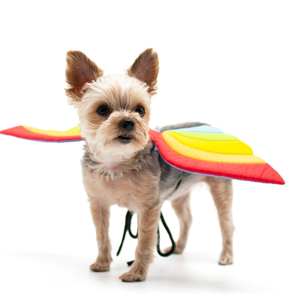 Dragon Wings Dog Halloween Costume - Rainbow