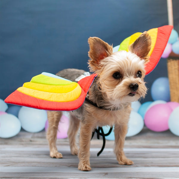 Dragon Wings Dog Halloween Costume - Rainbow