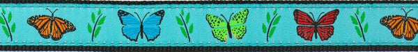 Up Country Butterfly Effect Dog Collar