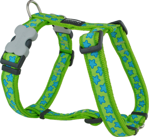Red Dingo Designer Dog Harness - Stars (Turquoise on Lime Green)