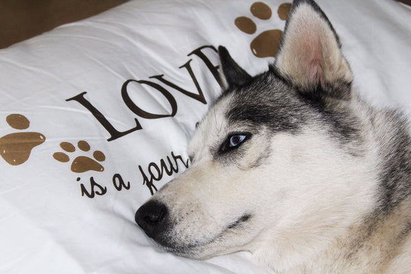 Love is a 4 Legged Word Single Pillowcase