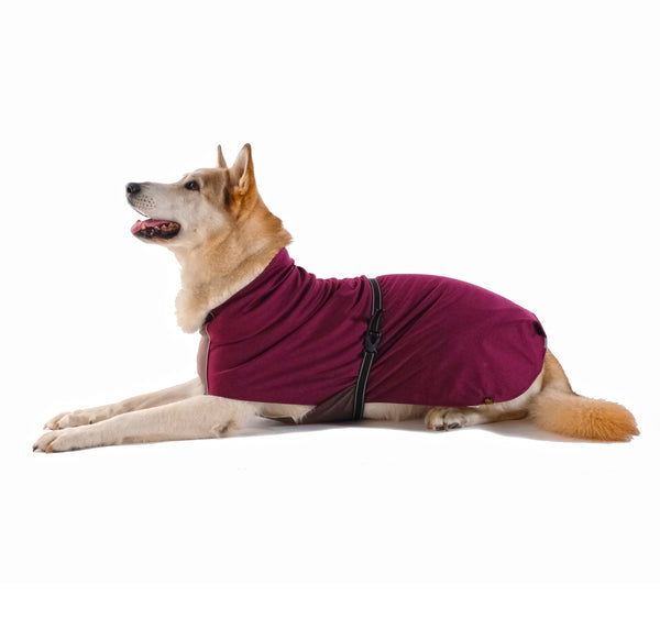Rain Paw Waterproof All-Season Dog Coat - Petal Pink