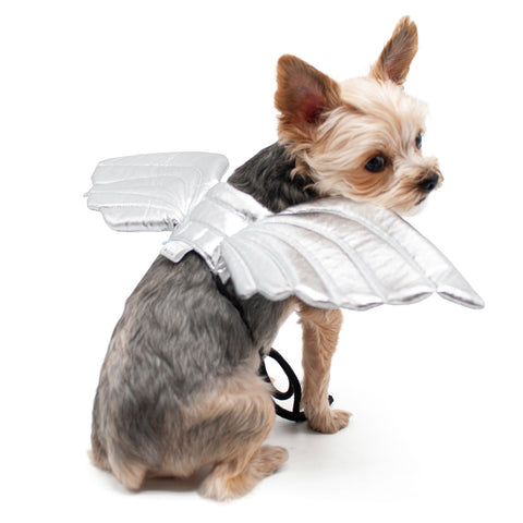 Dragon Wings Dog Halloween Costume - Silver