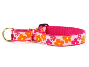 Up Country Flower Power Martingale Dog Collar