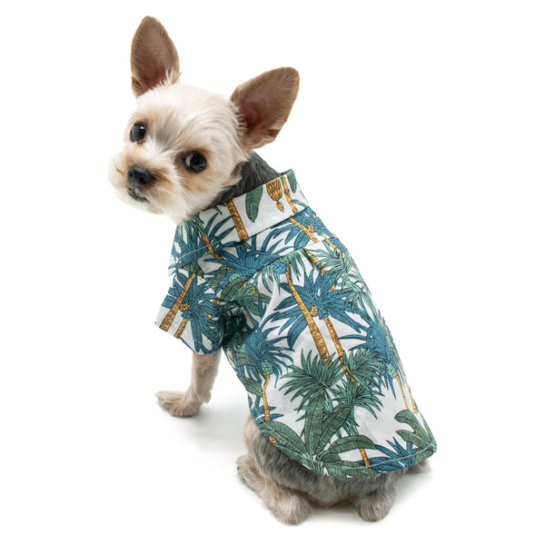 Tropical Leaf Hawaiian Style Dog Shirt