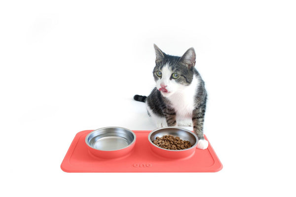 The Good Bowl Double Pet Feeder - Coral
