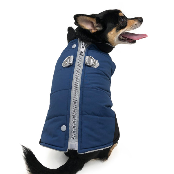Urban Runner Dog Coat - Blue