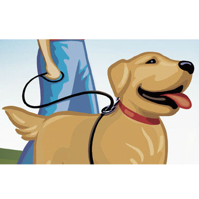 The Walkie Dog Training Leash