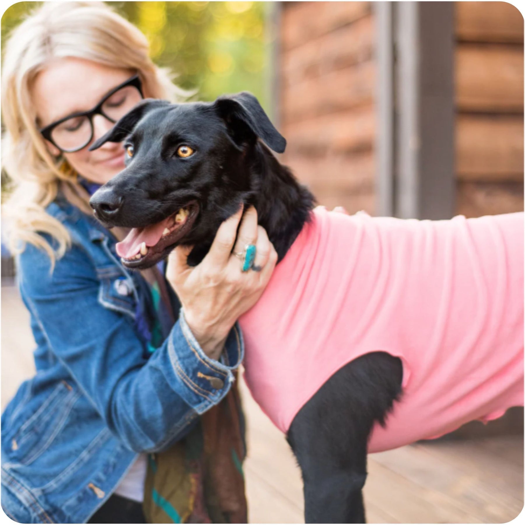 Dog Apparel