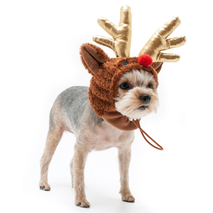 Christmas Gifts For Dogs