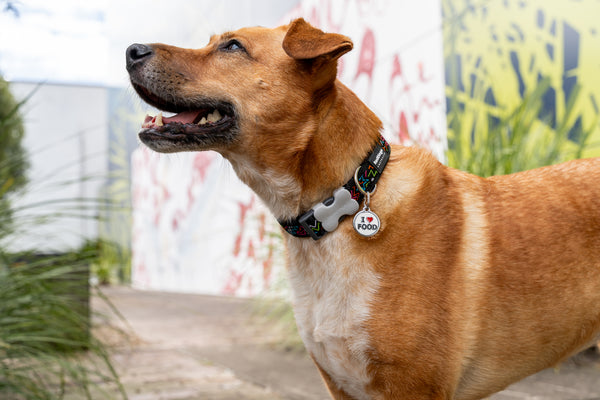 Red Dingo Stainless Steel & Enamel Dog Tag - I Heart Food