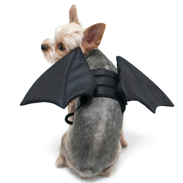 Dragon Wings Dog Halloween Costume - Black