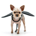 Dragon Wings Dog Halloween Costume - Black