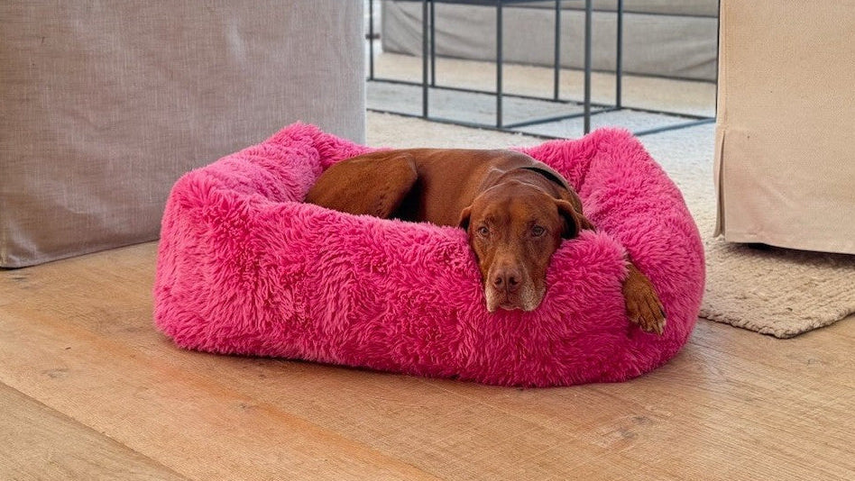Franklin Dog Bed - Cherry Blossom
