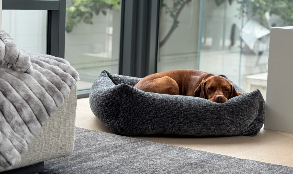 Franklin Dog Bed - Elephant Grey