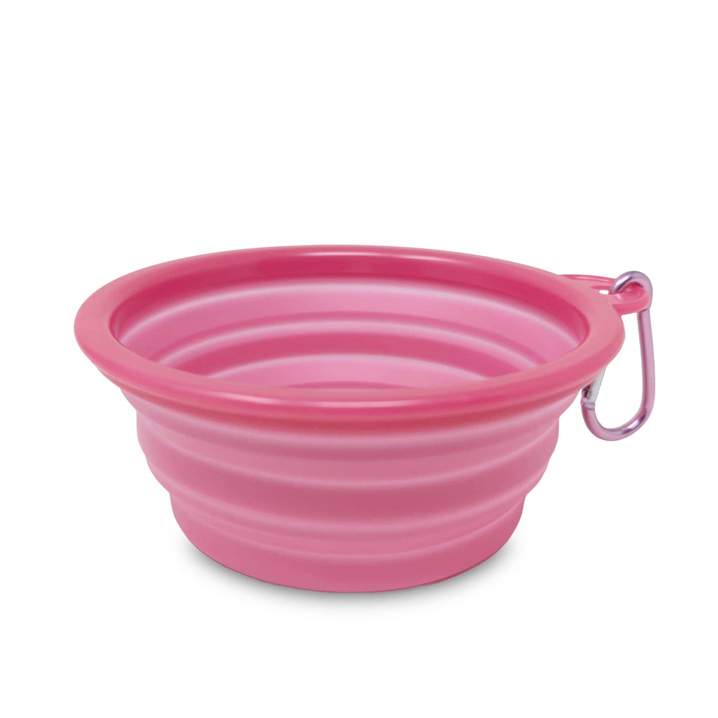 Collapsible Dog Water Bowl