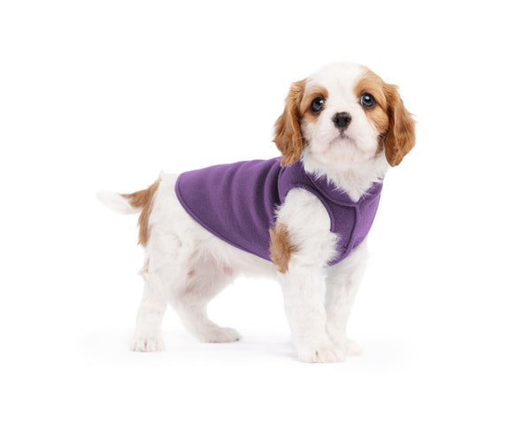 Gold Paw Stretch Fleece Dog Coat - Huckleberry