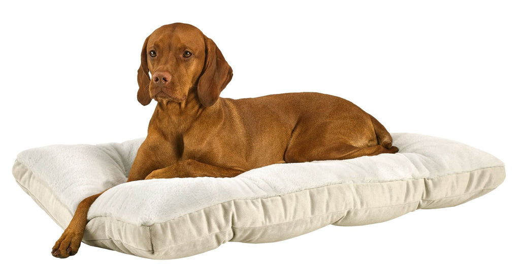 White cloud dog futon bed with a plush, cushioned surface and a raised padded edge