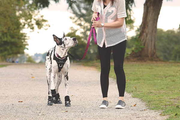 RC Pet Products Strider Dog Boot