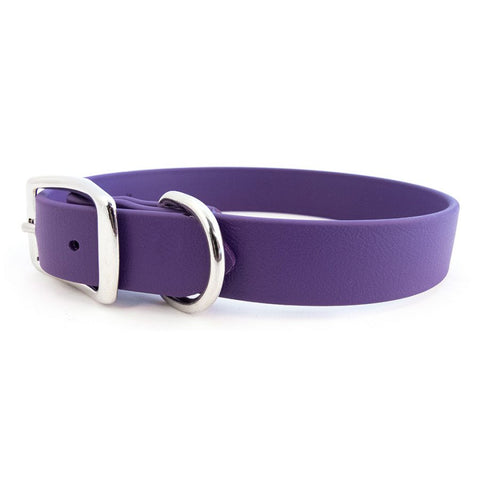 Rita Bean Waterproof Standard Buckle Dog Collar - Purple