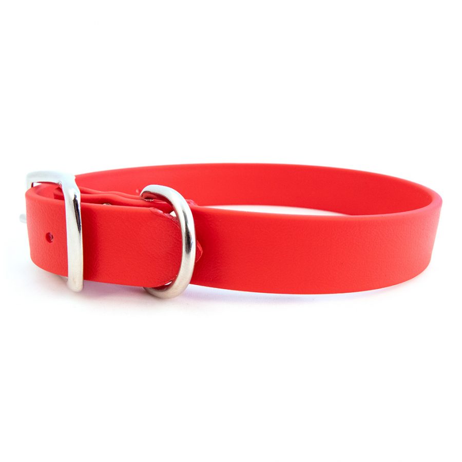 Rita Bean Waterproof Standard Buckle Dog Collar - Red