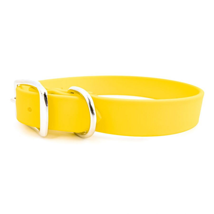 Rita Bean Waterproof Standard Buckle Dog Collar - Yellow