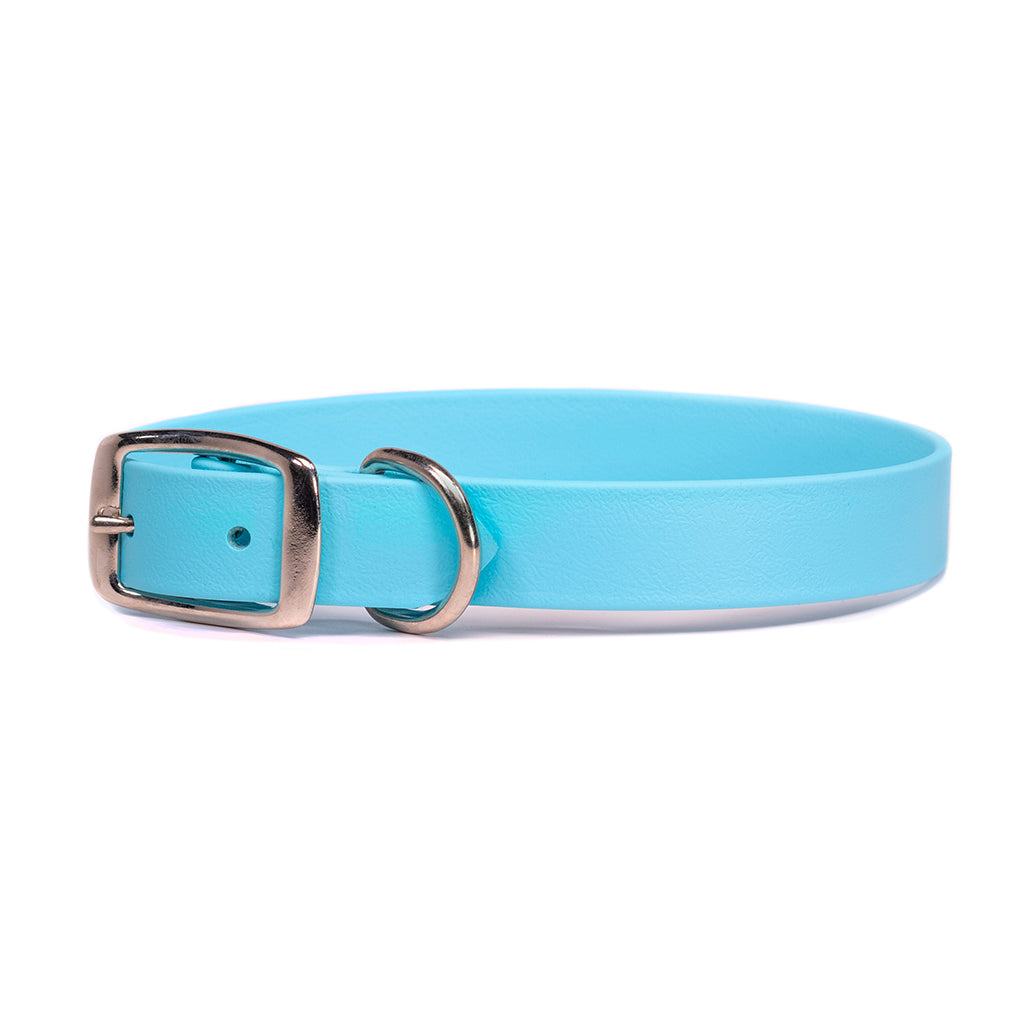 Rita Bean Waterproof Standard Buckle Dog Collar - Light Blue