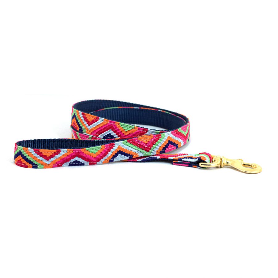 A Tail We Could Wag Handmade Cotton Weave Dog Leash - Retro