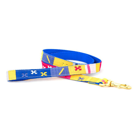 A Tail We Could Wag Handmade Cotton Weave Dog Leash - Starry Day (Mango)