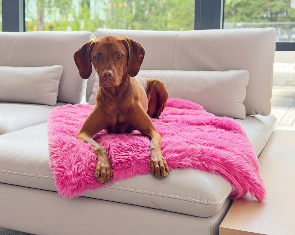 Dog Blankets - Reversible Soft Faux Fur