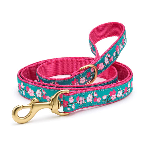 Up Country Cherry Blossoms Dog Collar