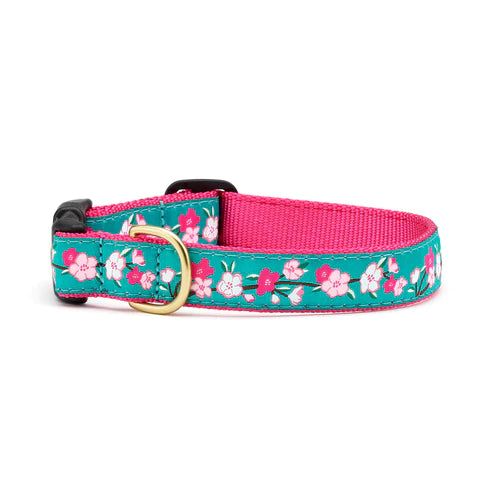 Up Country Cherry Blossoms Dog Collar