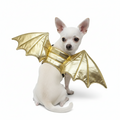 Gold dragon-wing dog costume with shiny chest harness and attached wing sleeves