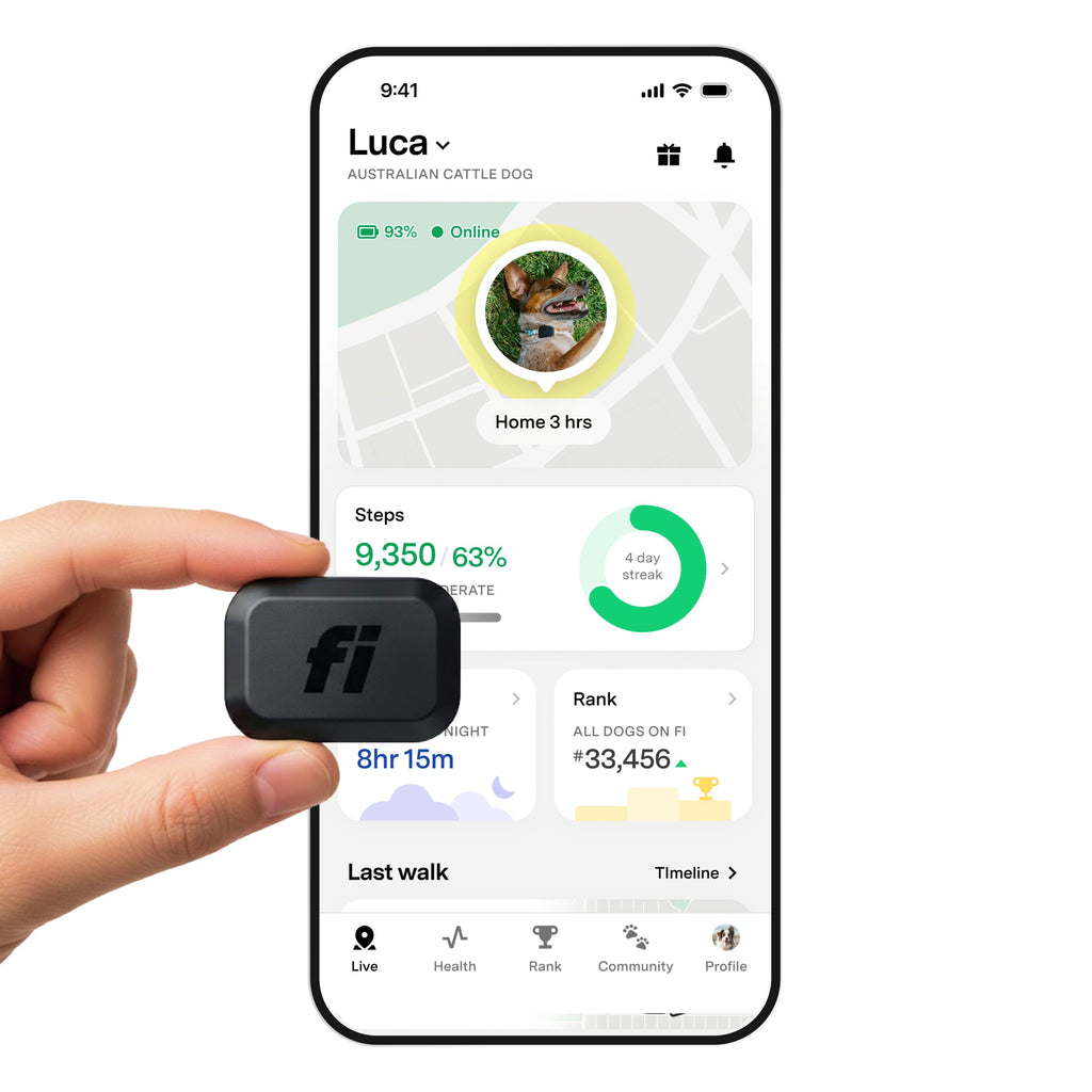 Fi Mini GPS Tracker for Dogs & Cats — Real-Time LTE Location, Escape Alerts & Activity Tracking | 6 Months of Membership Included | Lightweight, Waterproof Collar Attachment