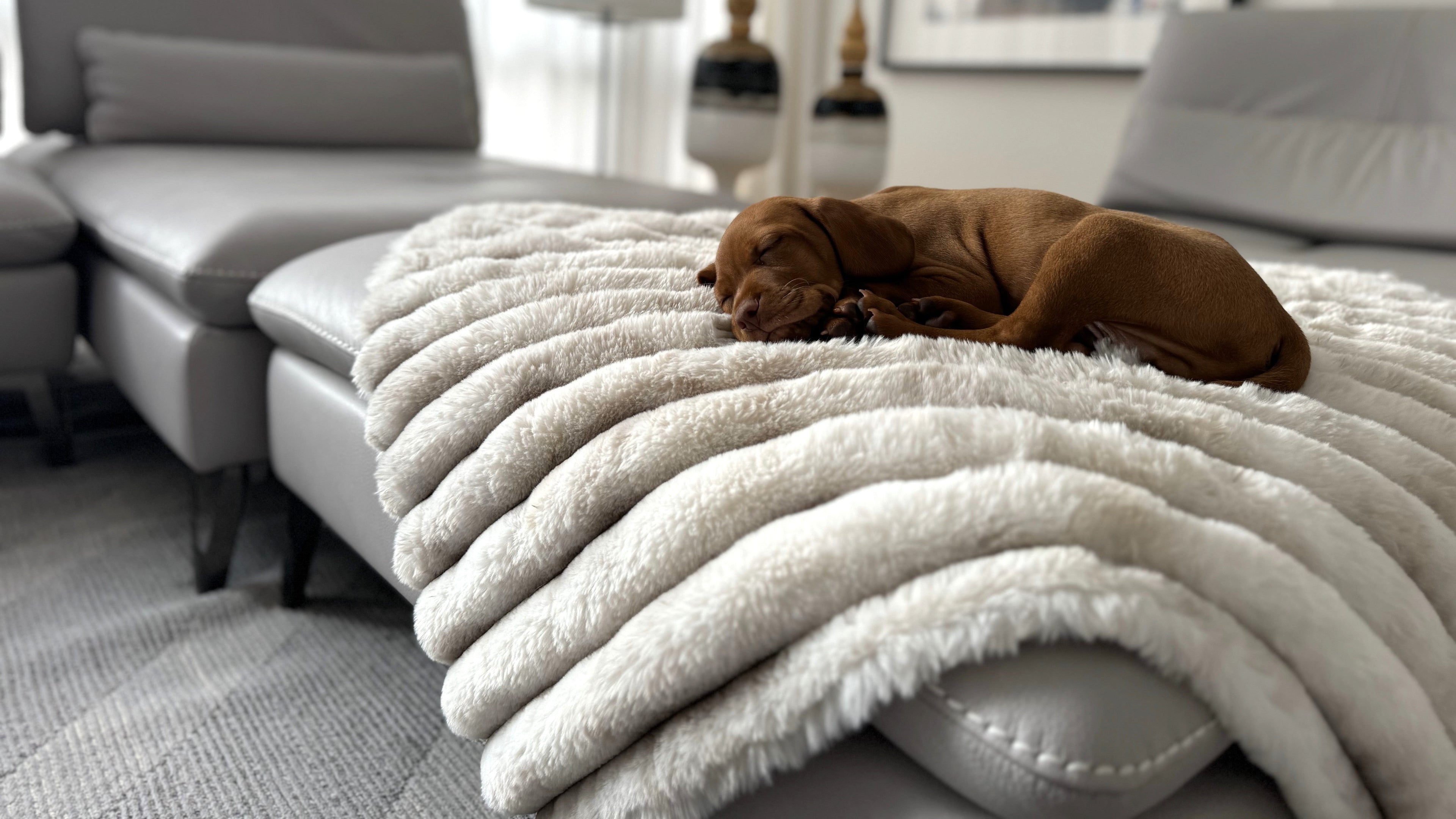 Dog Blankets - Reversible Soft Faux Fur