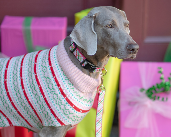 Up Country Pink Faire Isle Dog Sweater