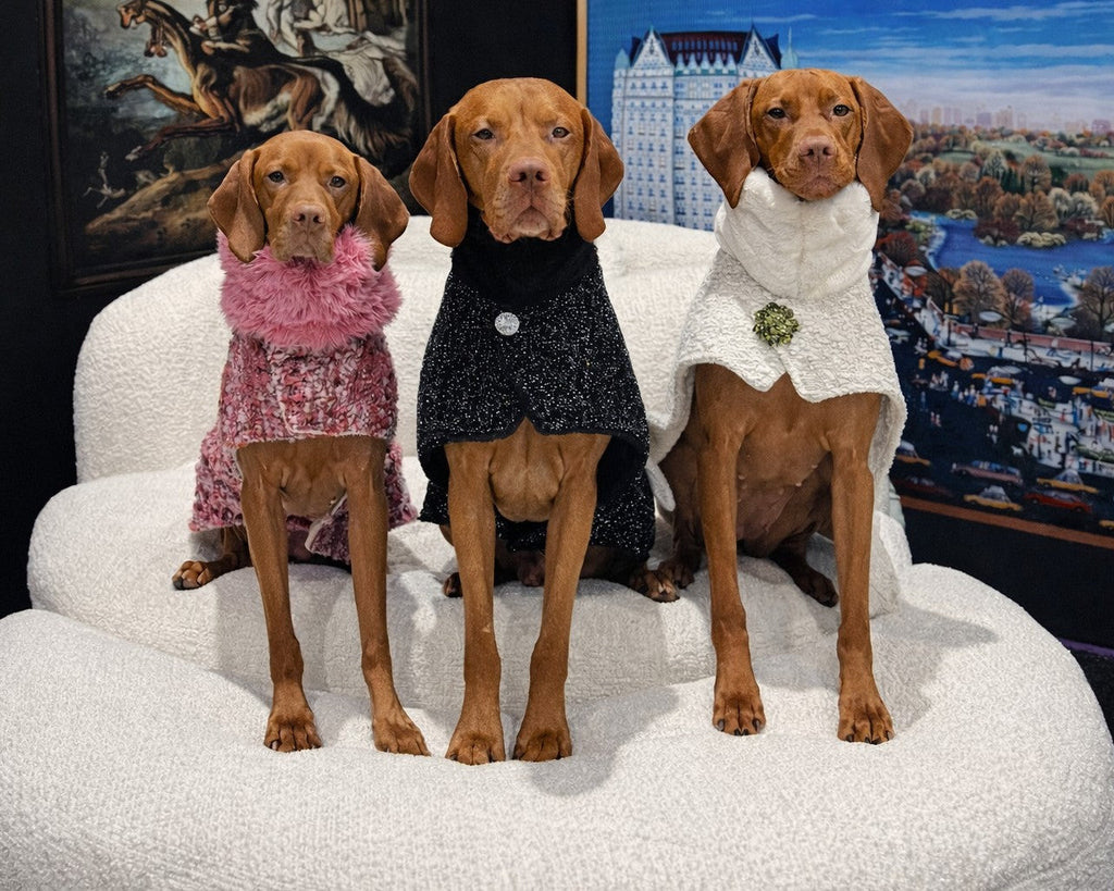 Manhattan Walking Coat For Dogs - Fuchsia Fiesta
