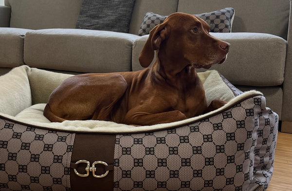 Bowsers Signature Scoop Dog Bed - Signature Coco