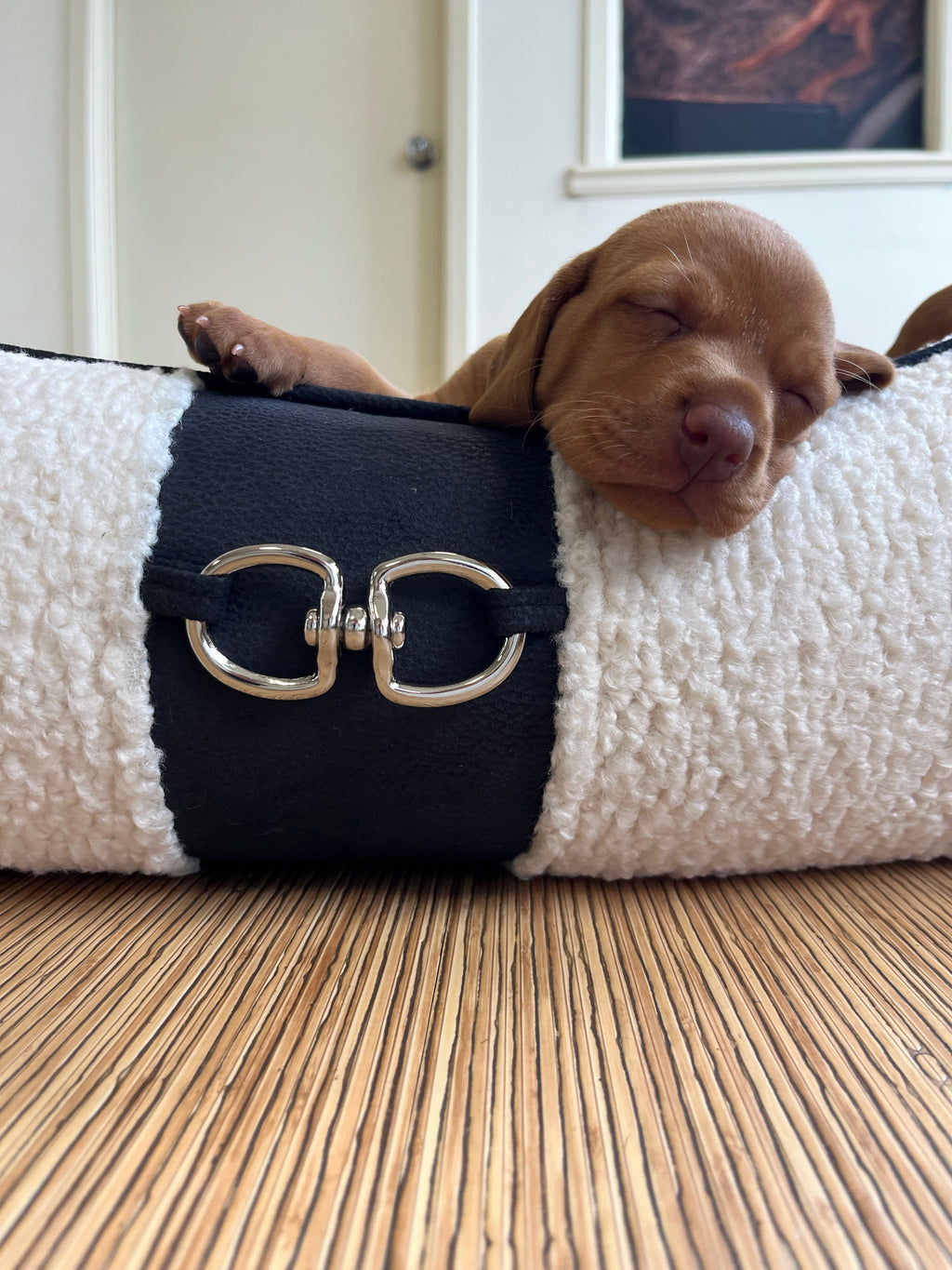 Signature Scoop Dog Bed - Ivory Sheepskin Faux Fur