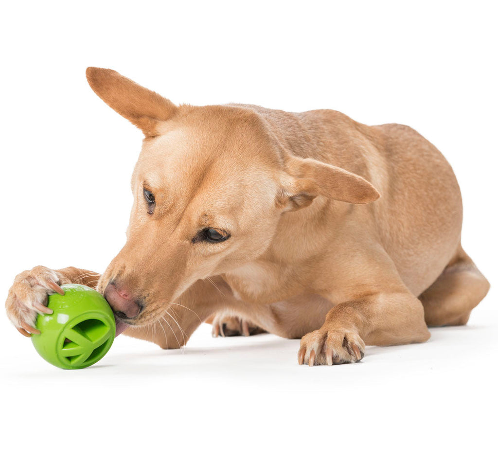 Planet Dog Orbee Tuff Nook Dog Toy - Paw Print