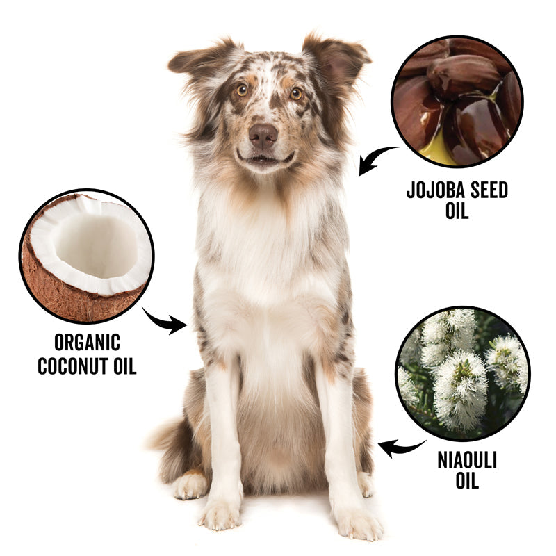 DOGDAYS De-Shedding Shampoo — Deep Moisturizing Deshedding Formula for Dogs